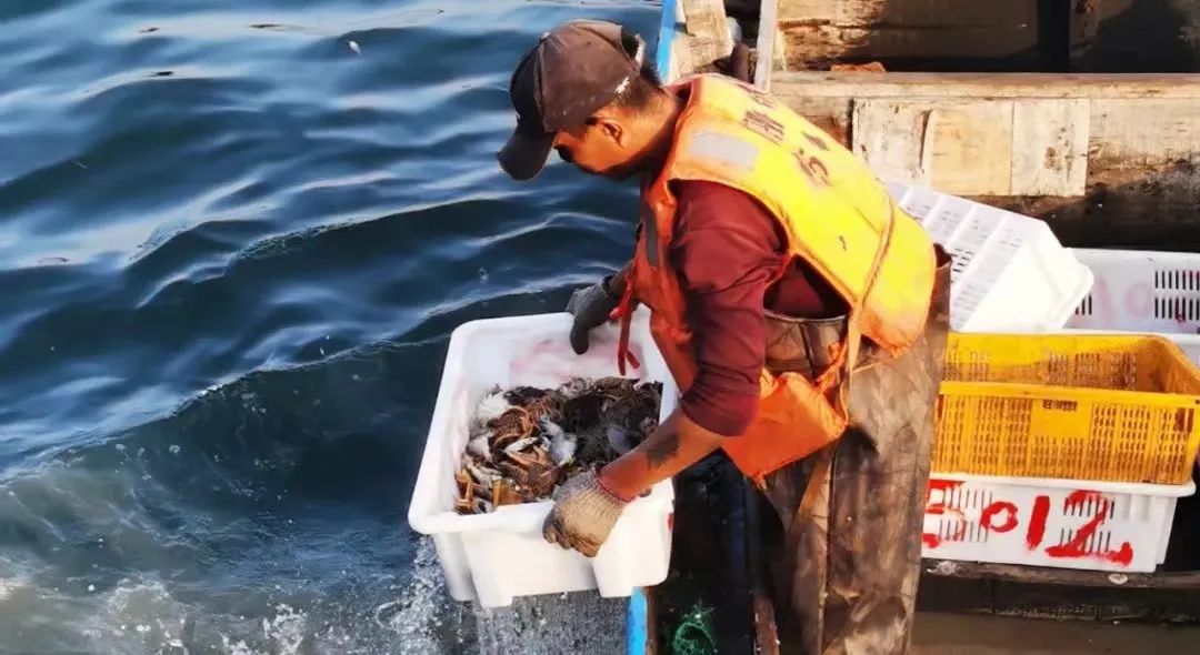 鎶ュ悕鎶栭煶鐢靛晢瀹樻柟娲诲姩濂藉,鐢宠鍔犲叆鎶栭煶鐢靛晢