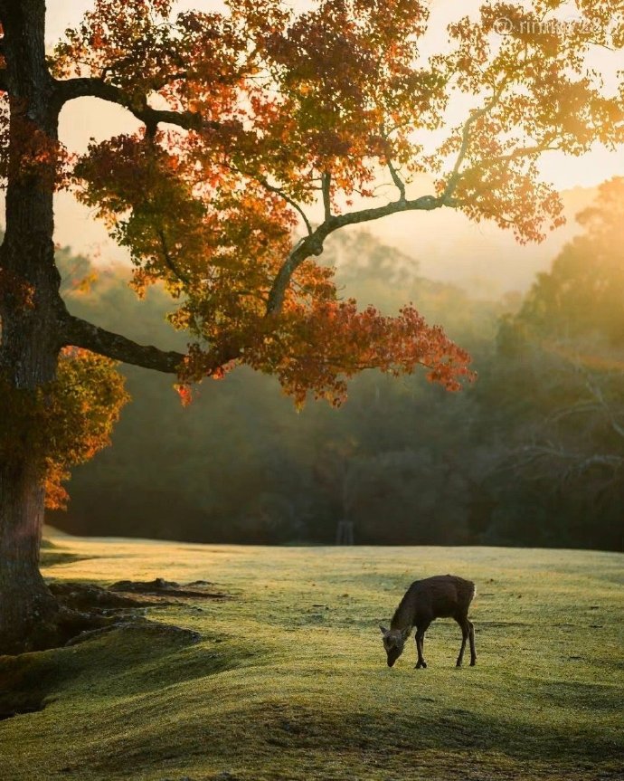 男朋友手机有丑照,男友手机里有自己丑照