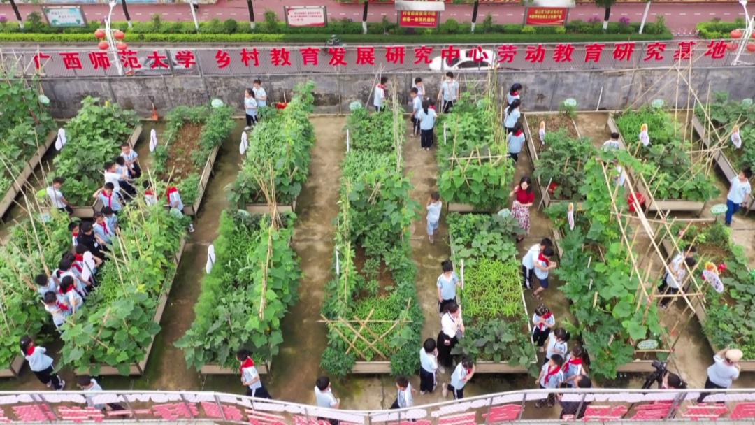 平南甘旺中心小学,平南镇中心小学阳光教育