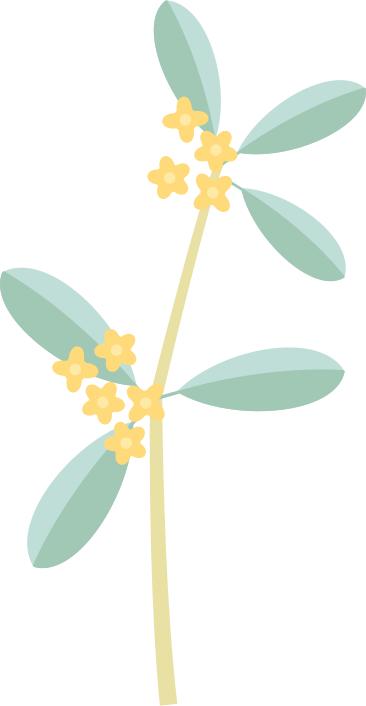 关于警院的面试、体检、体能测评｜你想知道的，全在这里！