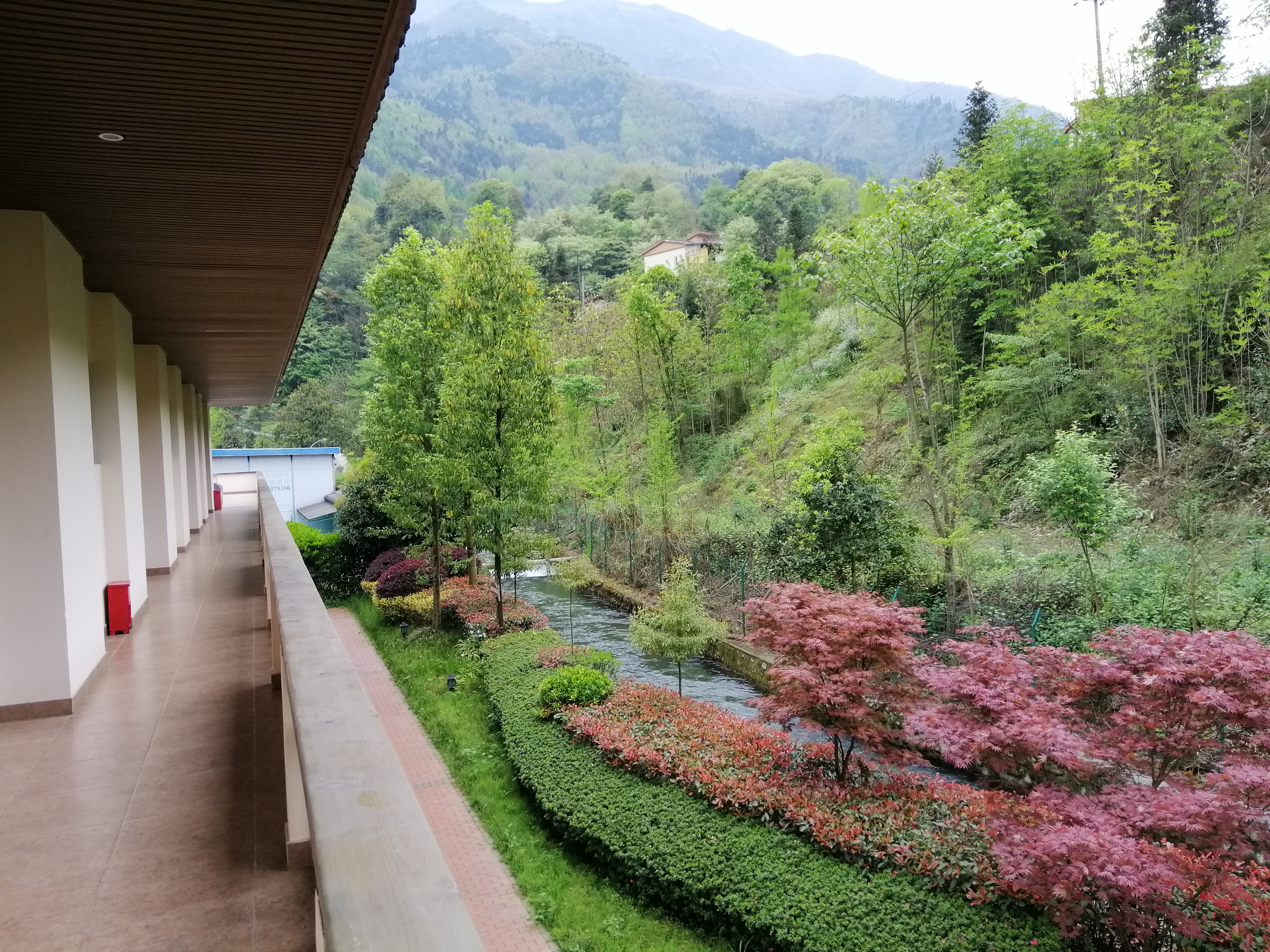 “种草”《大河恋》,解锁大虹鳟,也寻找着生命的意义