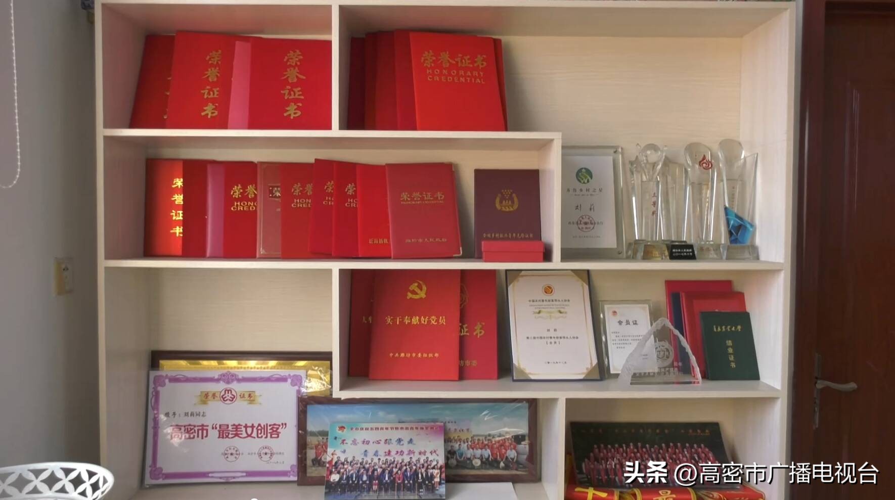 山东潍坊农场主刘莉,潍坊种地大户刘莉