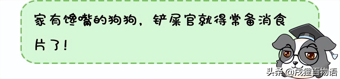 狗狗正常便便是怎样的,狗狗便便怎样算正常