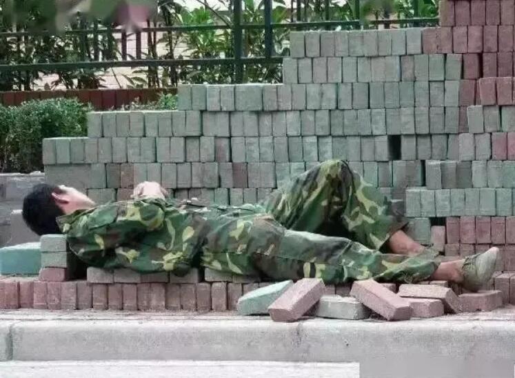 一个细节不对就翻车？正午阳光《欢迎光临》，“伪北漂”被吐槽