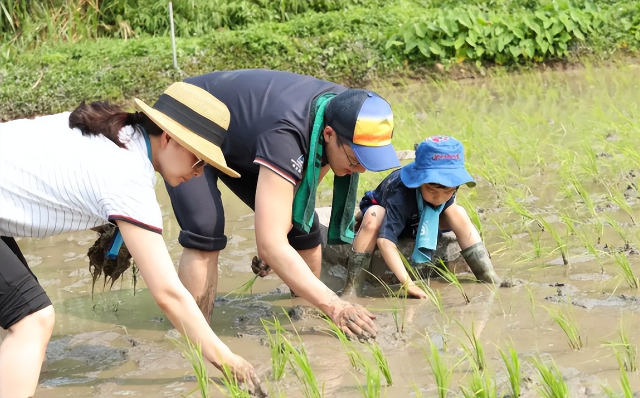 郭晶晶的婚姻近况,郭晶晶嫁入豪门的感受