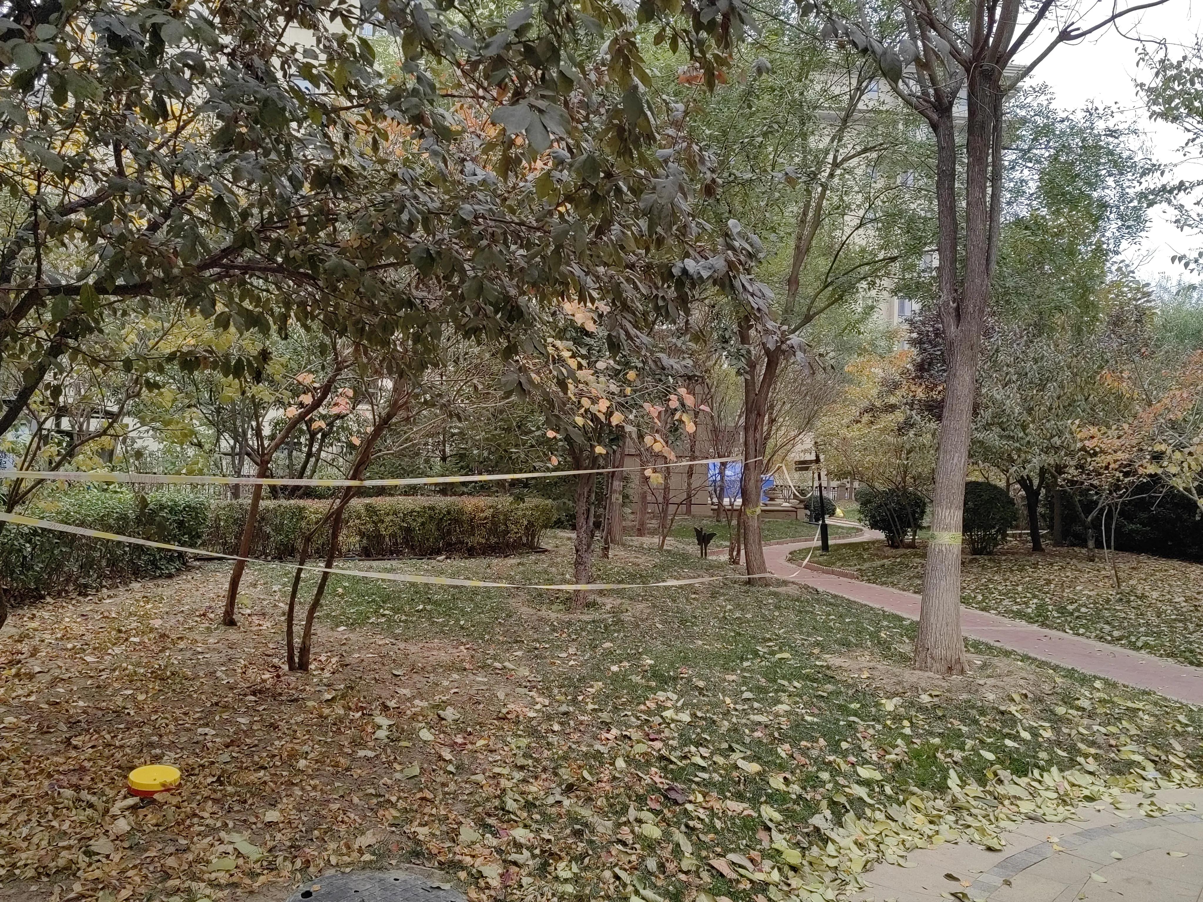 封控期间，一个人一见到我，就说他快疯了。怎么办呢？