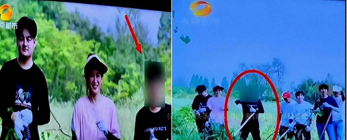 李维嘉为什么离开芒果台,李维嘉回应与芒果台解约