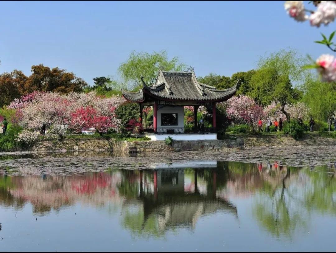 无锡西太湖旅游景点有海鸥吗,无锡富颐国际大酒店周边旅游景点