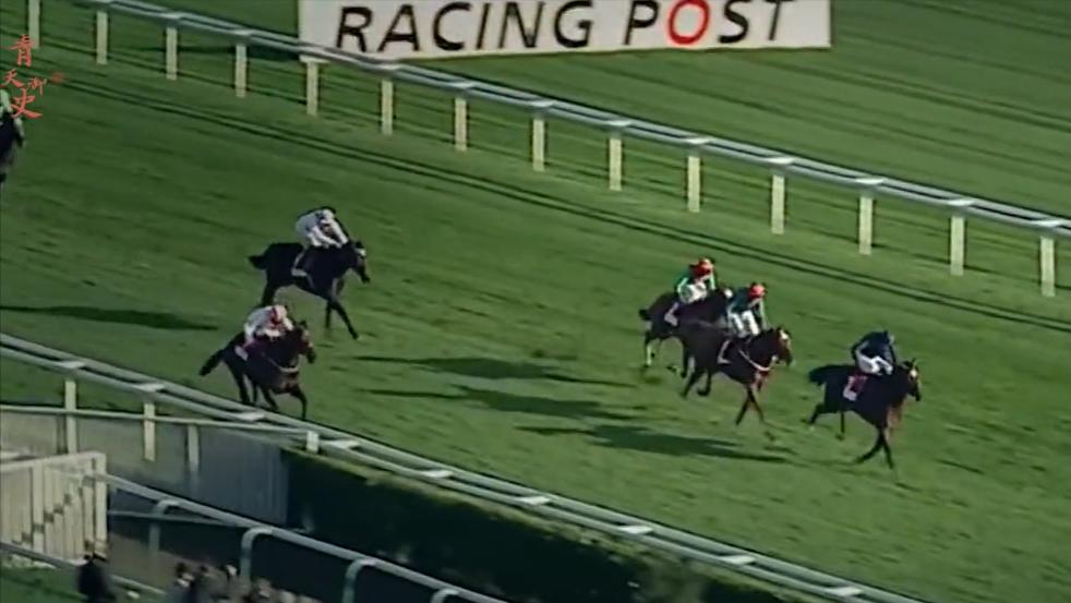 盘点十种神奇动物的价格,盘点五种有巨毒的生物