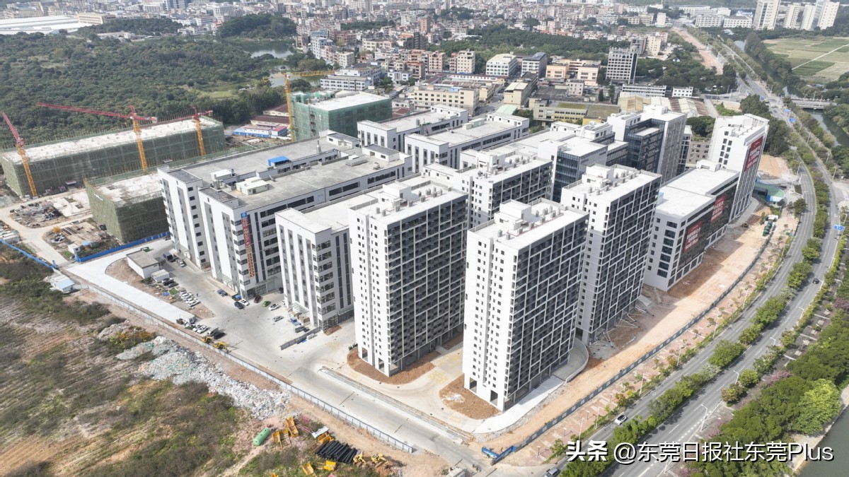 茶山合作开发,茶山招商最新信息