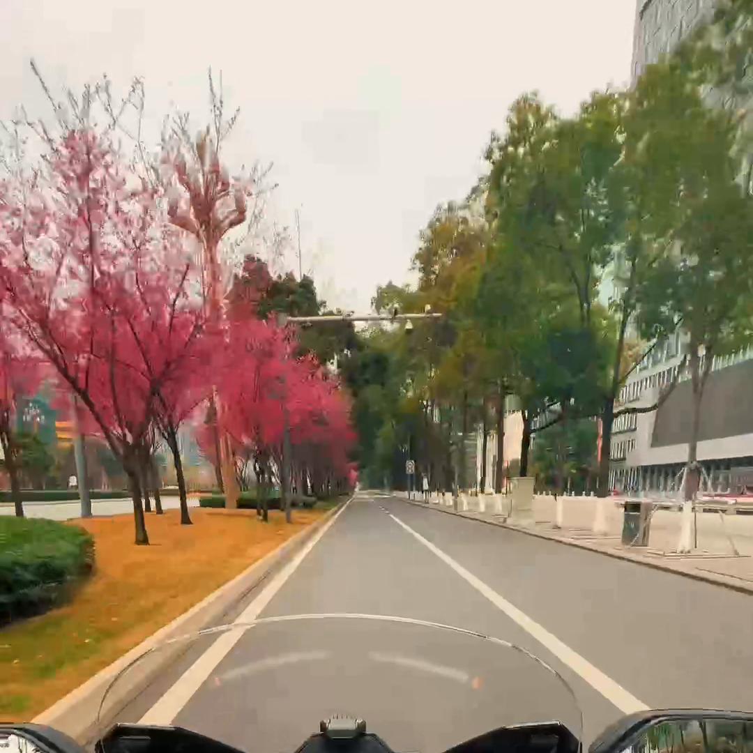 xmax300和佛沙350详细对比,新佛沙350和xmax300选哪个