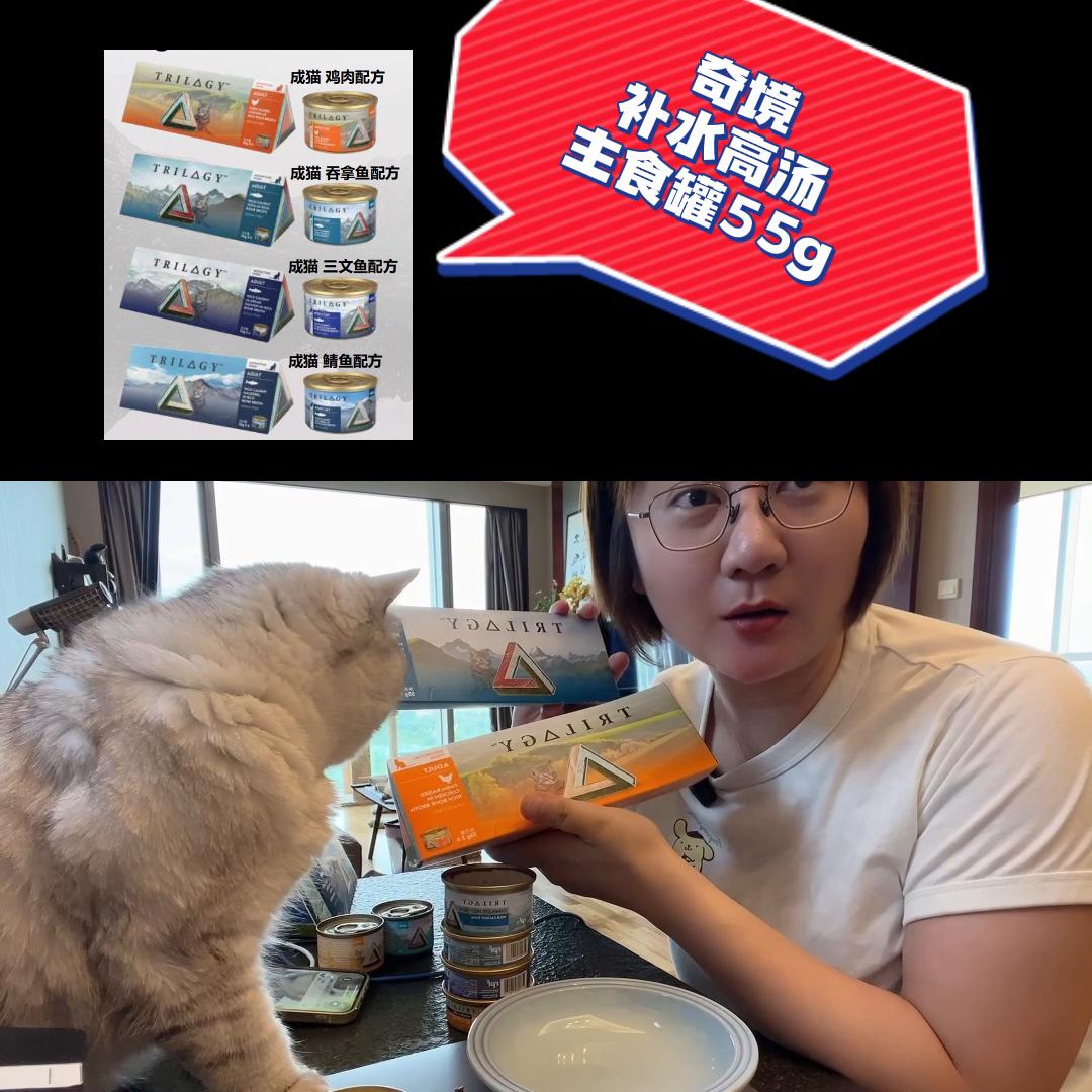 完全被低估的小众宝藏猫粮，澳洲品牌「奇境」！猫咪苦夏，...