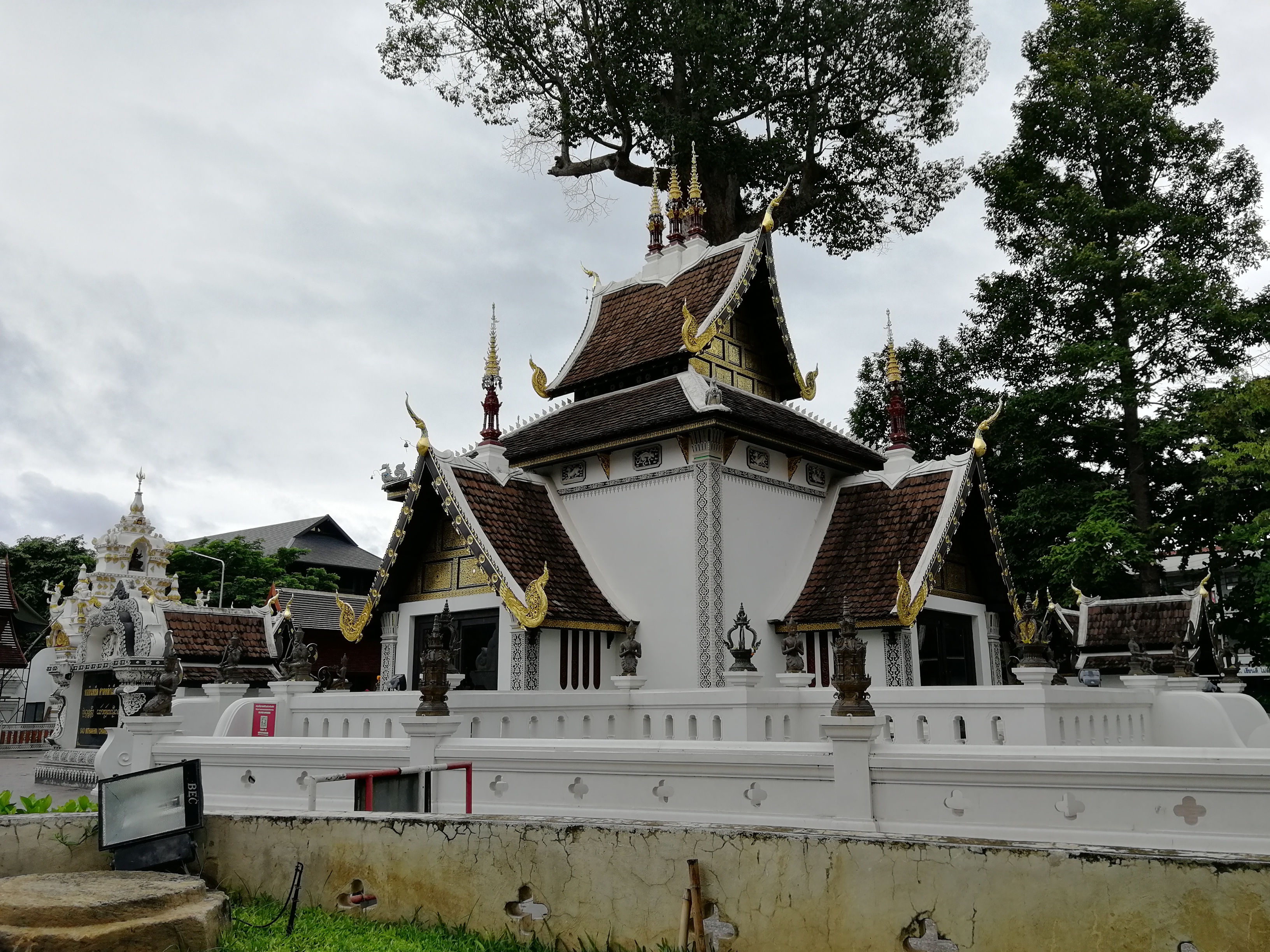 特价旅游机票价格查询官网,让你轻松找到更便宜的机票