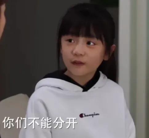 完美伴侣跳跳和靖靖混剪,完美伴侣跳跳和靖靖在一起了吗