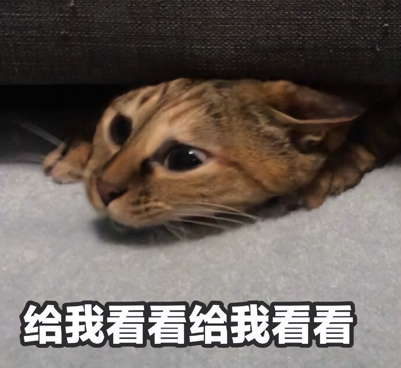 2023油烟机最好的品牌,2023抽油烟机十大名牌排名