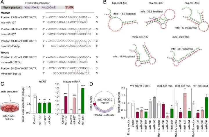 脑科学阿尔茨海默,有关阿尔茨海默症的科普文章