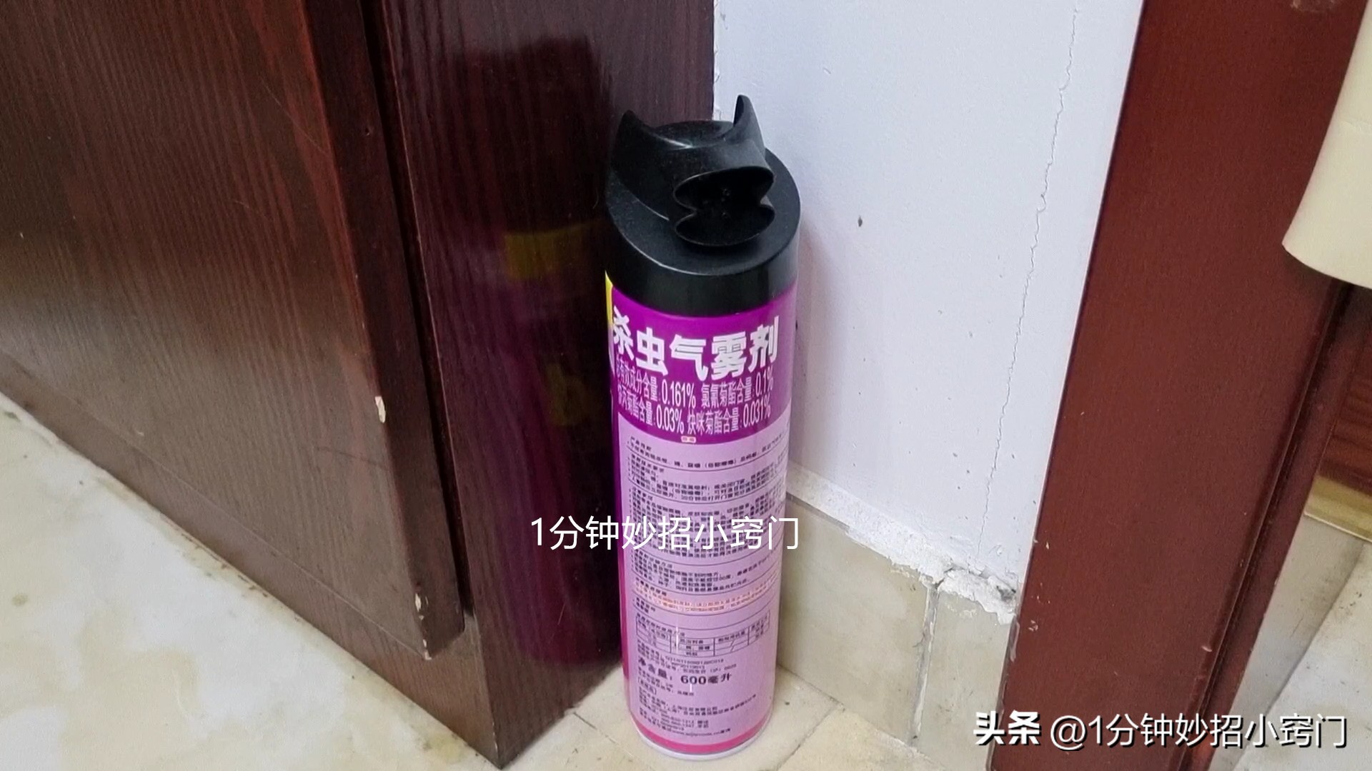 蚂蚁窜到家里用啥东西给它赶走,家里有蚂蚁撒点它一窝端