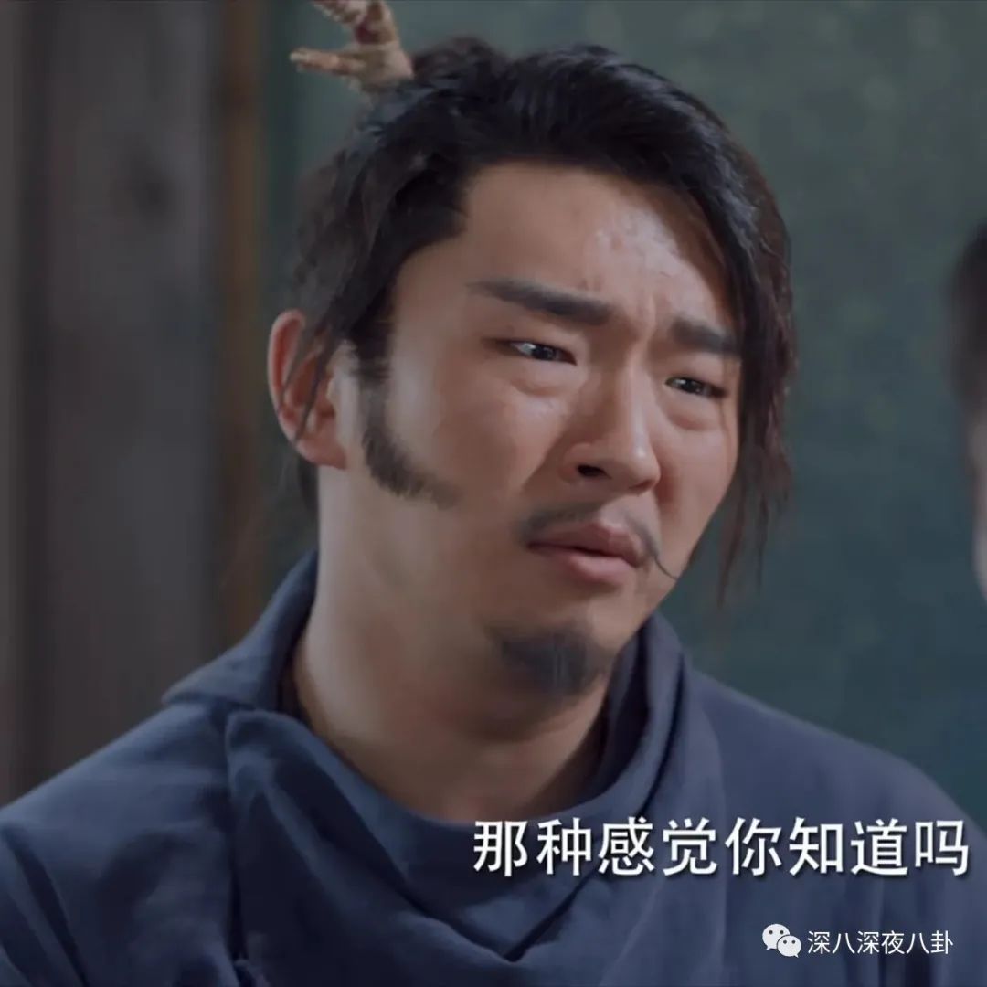 王子腾人物评价,王子腾是男的还是女的