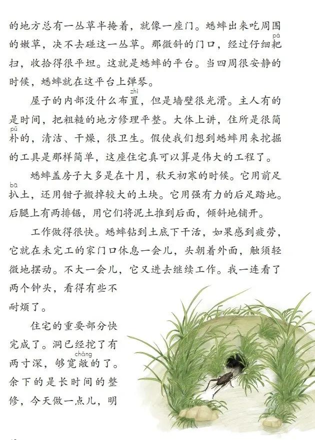 人教版小学语文（四年级上册）课本电子版暑假预习快收藏