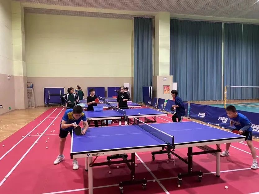 喜报我校喜获多项市级荣誉,喜报学校获殊荣