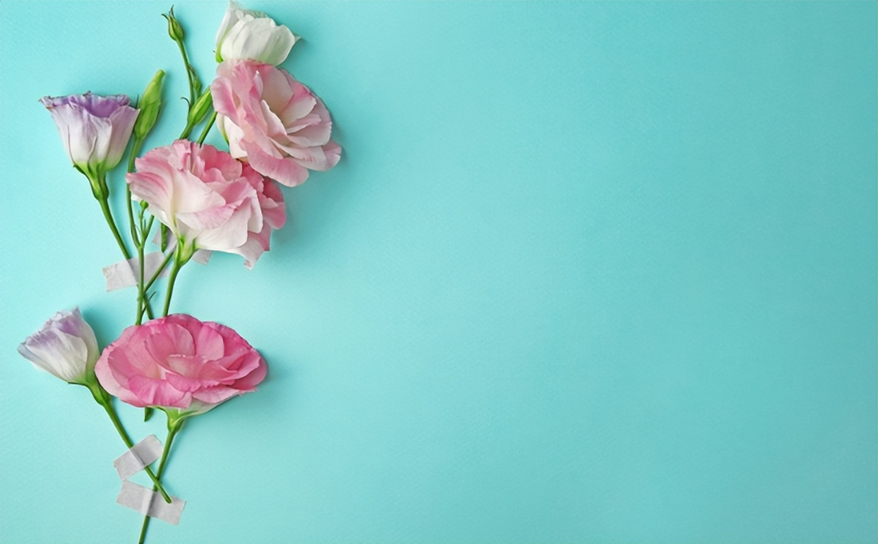 如果有一天表白了你会怎么样,如果有一天有一个男孩跟你表白