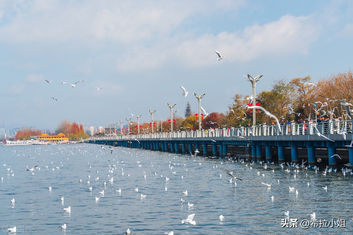 昆明附近有什么好玩的地方一日游,昆明周边好玩的地方推荐大年初一