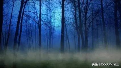 关于足球赛的观后感400字,2024足球世界杯观后感