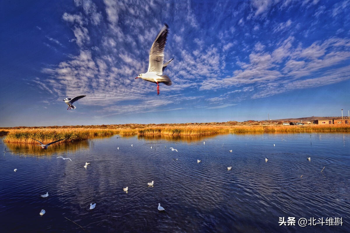 居延海是否可以成为中国的蓄水池？将洪水调往西北，一举两得