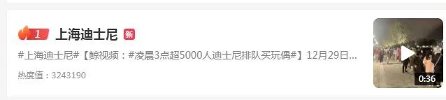 迪士尼乐园5000人凌晨三点排队,迪士尼5000人夜排