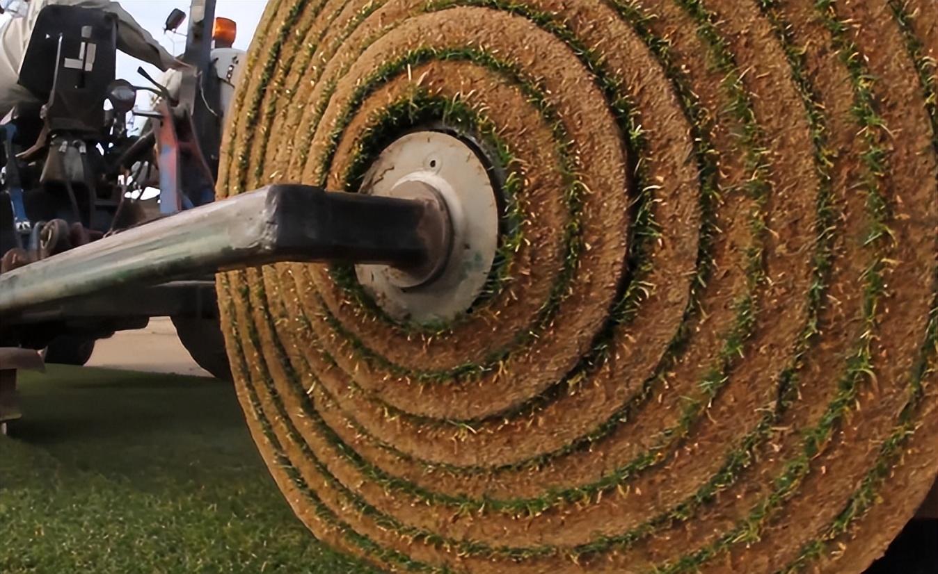 青岛海牛复出,青岛海牛将迎保级最关键一战