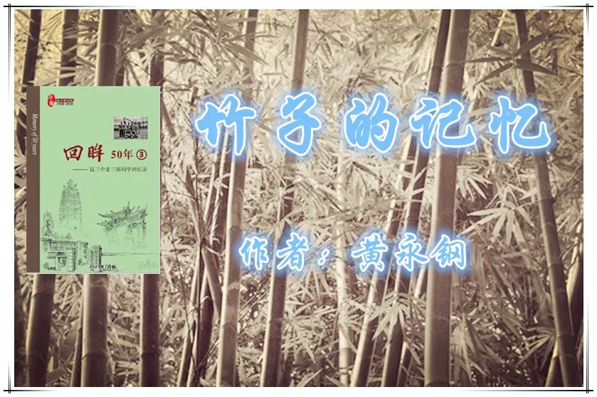 竹子的回忆,竹子的回忆父亲