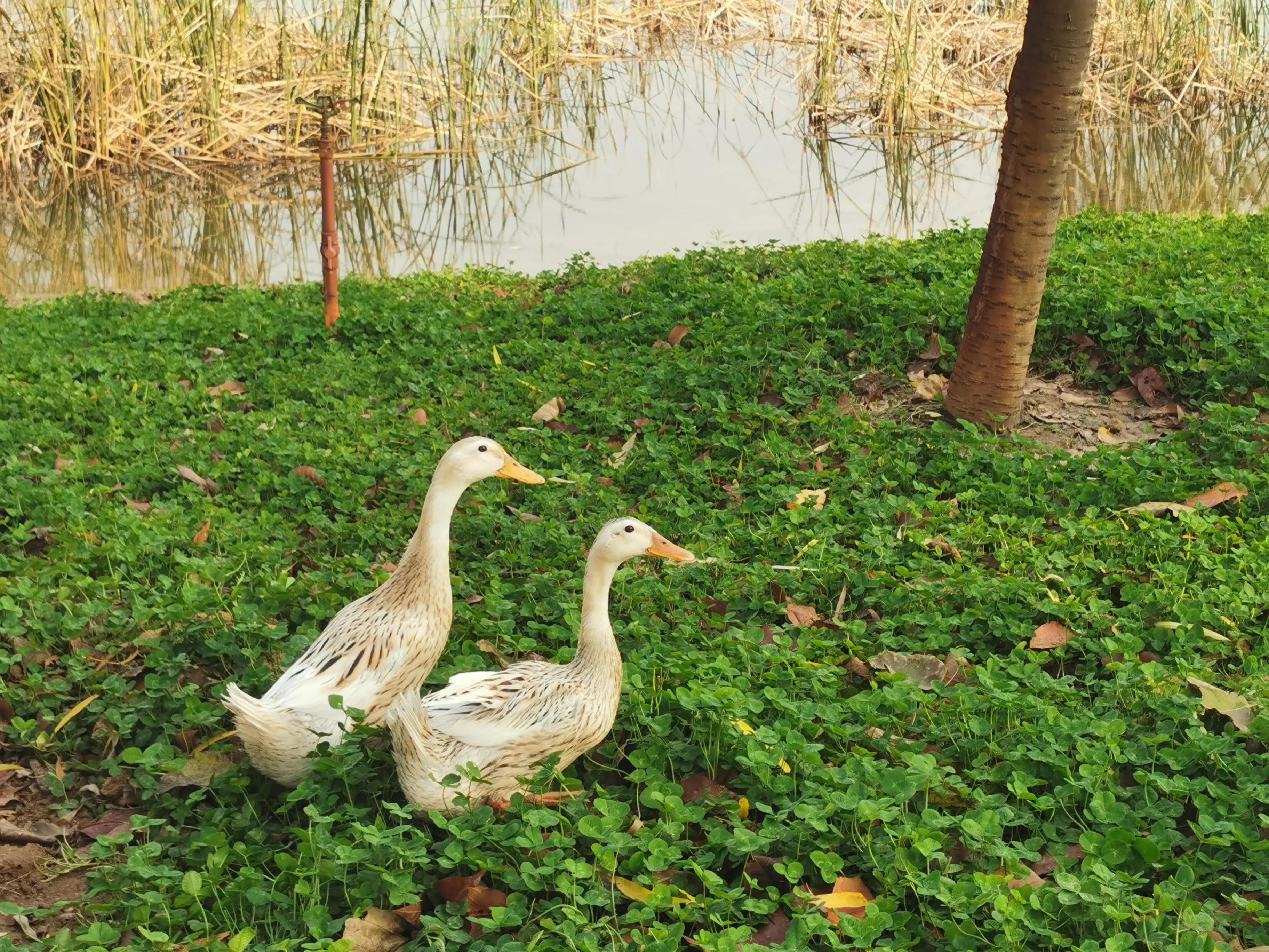 郑州夏季周末带孩子去哪里玩好,郑州周末带孩子去哪里玩比较好