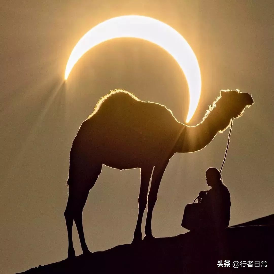 河西走廊就是甘肃吗,这就是甘肃文章