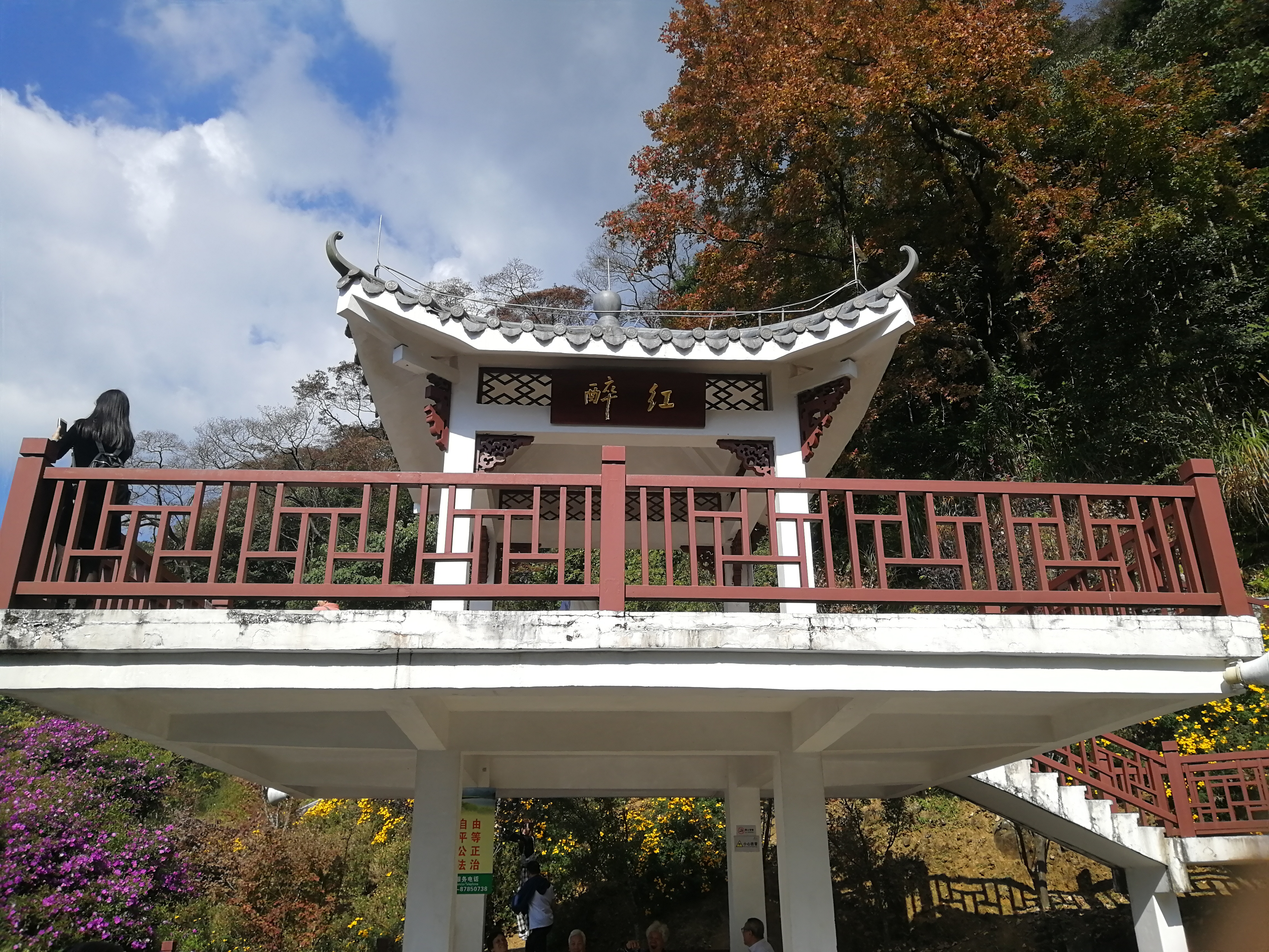 石门森林公园樱花谷交通线路,从化石门公园枫叶