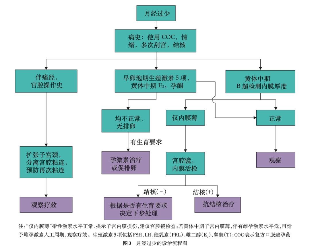 派特灵跟派特舒尔是一样的吗,派特生物是治疗什么病的