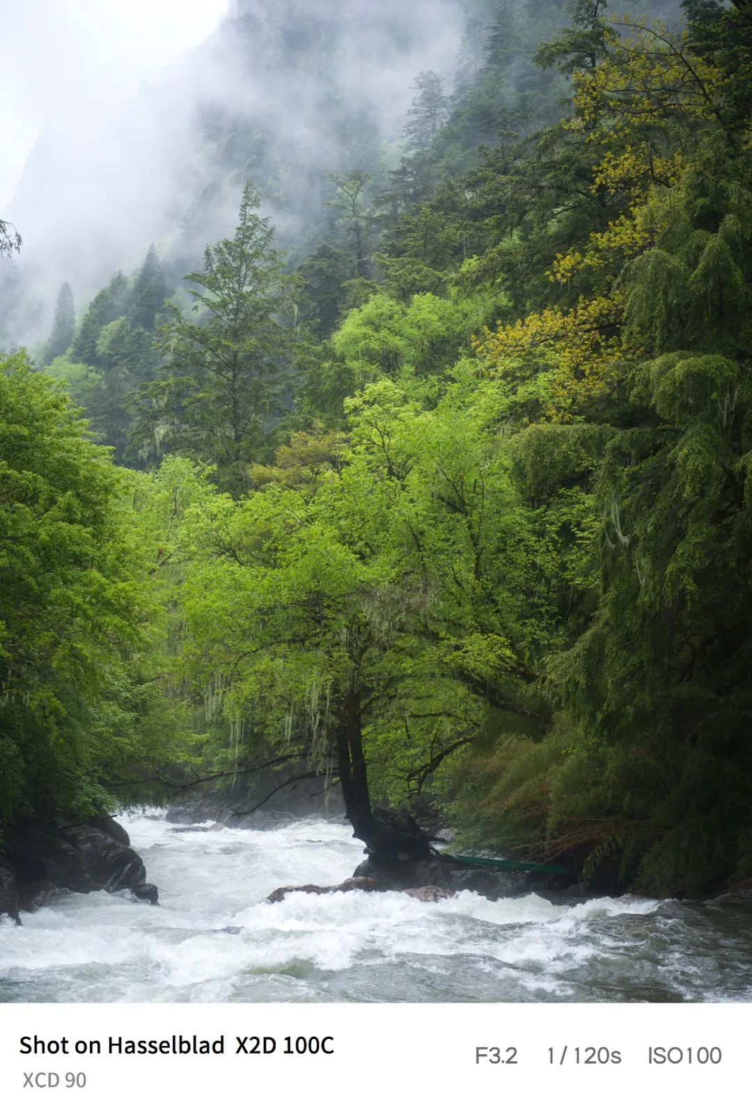 第一款月球相机,第1个登上月球的相机品牌是什么