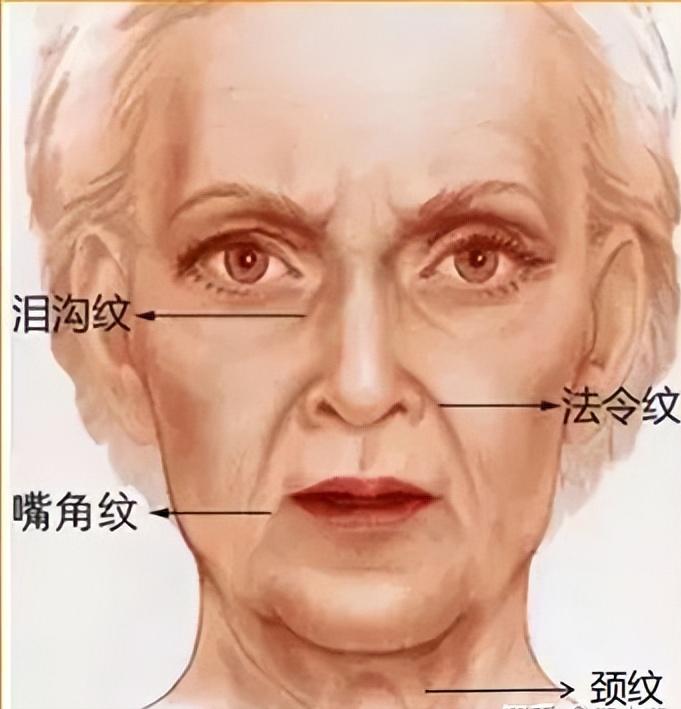 抗衰祛皱纹逆龄变美,紧致抗衰淡法令纹的项目