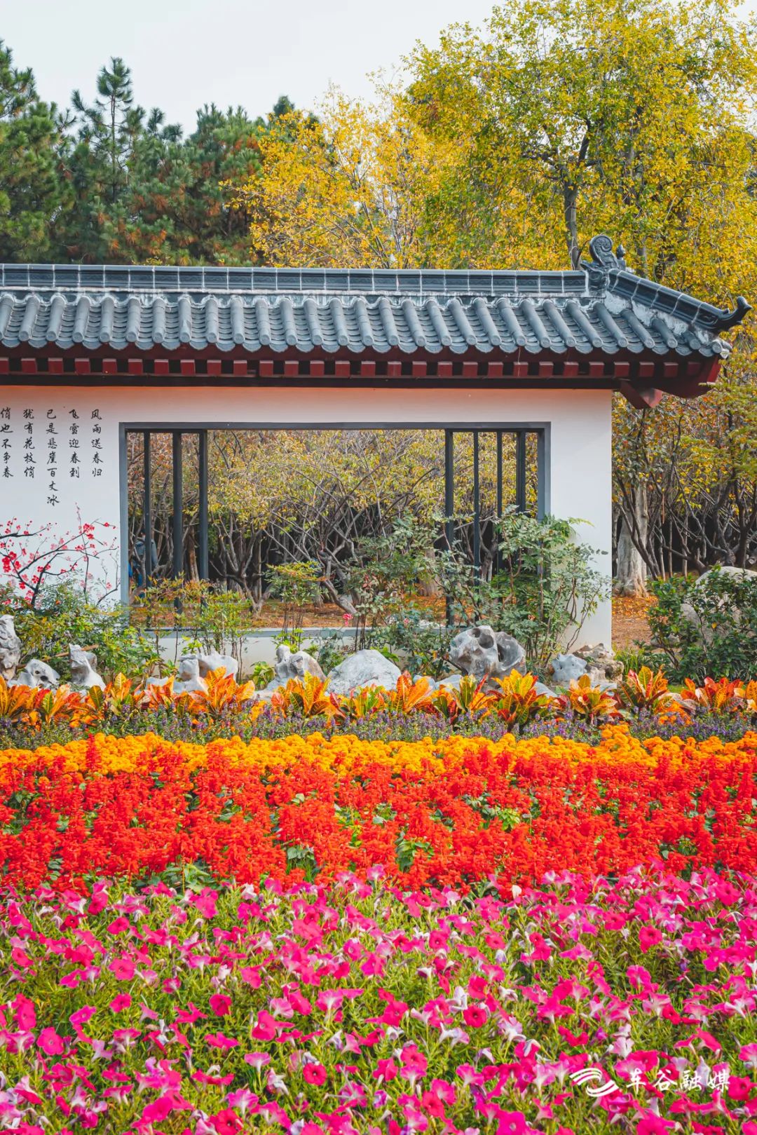 秋日暖阳骑行绿道,骑车绕城绿道值得打卡的推荐