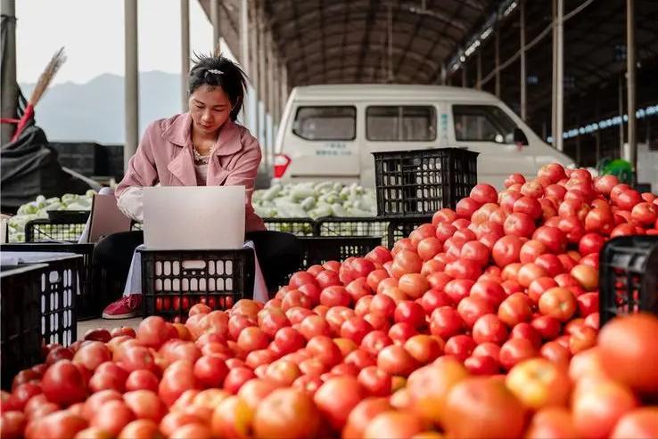 未来最暴利的三大行业,最暴利的的3大行业