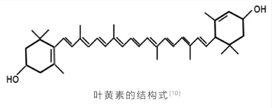 叶黄素我们真的需要吗,爱护叶黄素