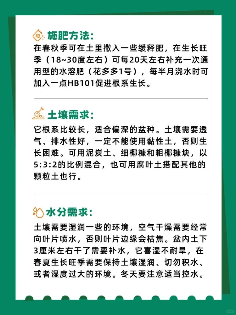 花叶橡皮树可以半阴养护吗,花叶橡皮树的养护方法