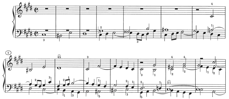 宸磋但閿洏,宸磋但閿洏婕斿瑙嗛