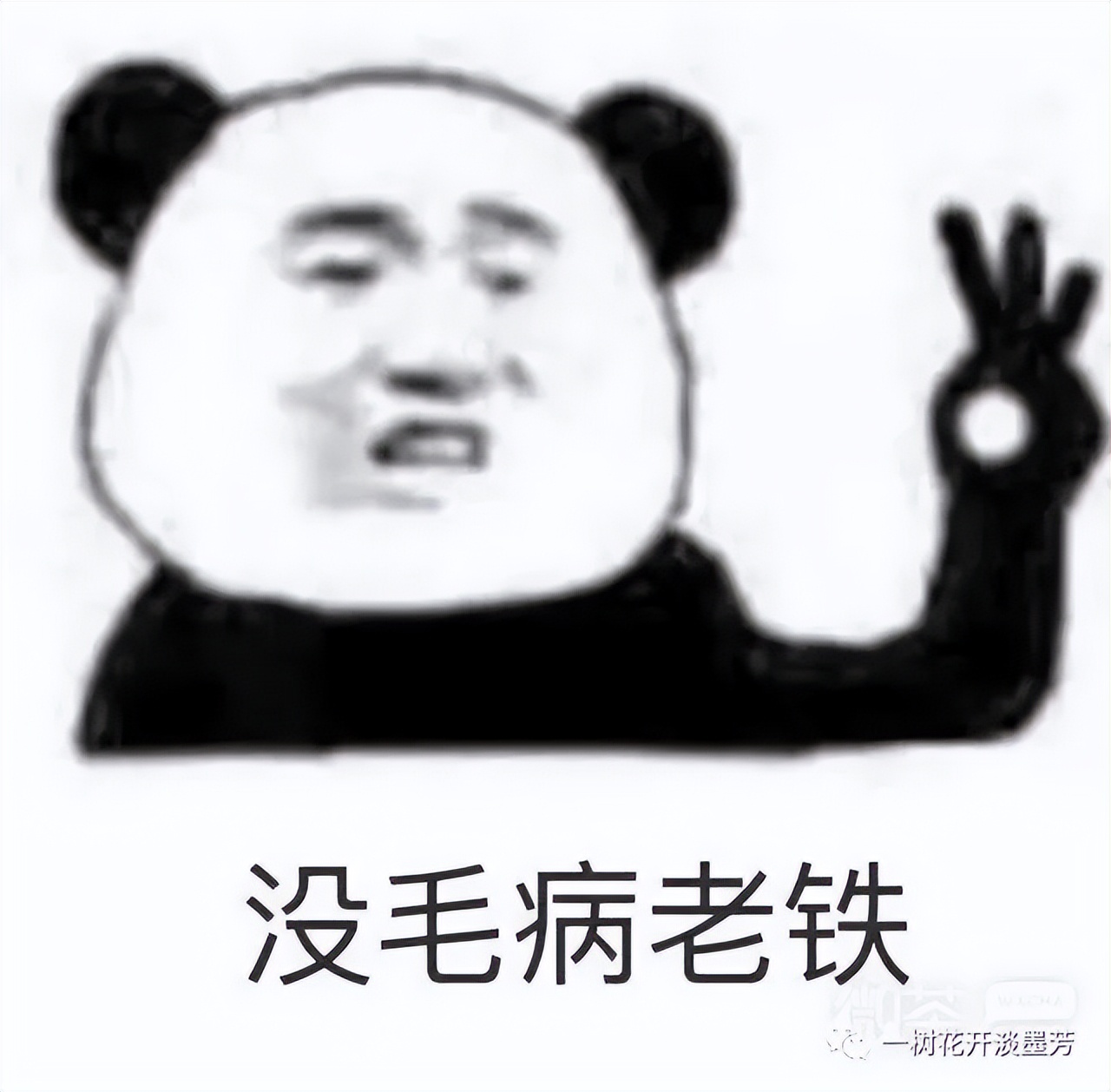 每天被你捧在手心里,每天被你关心