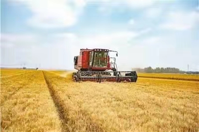 选什么专业比较有前途更赚钱,目前冷门专业十大最吃香专业