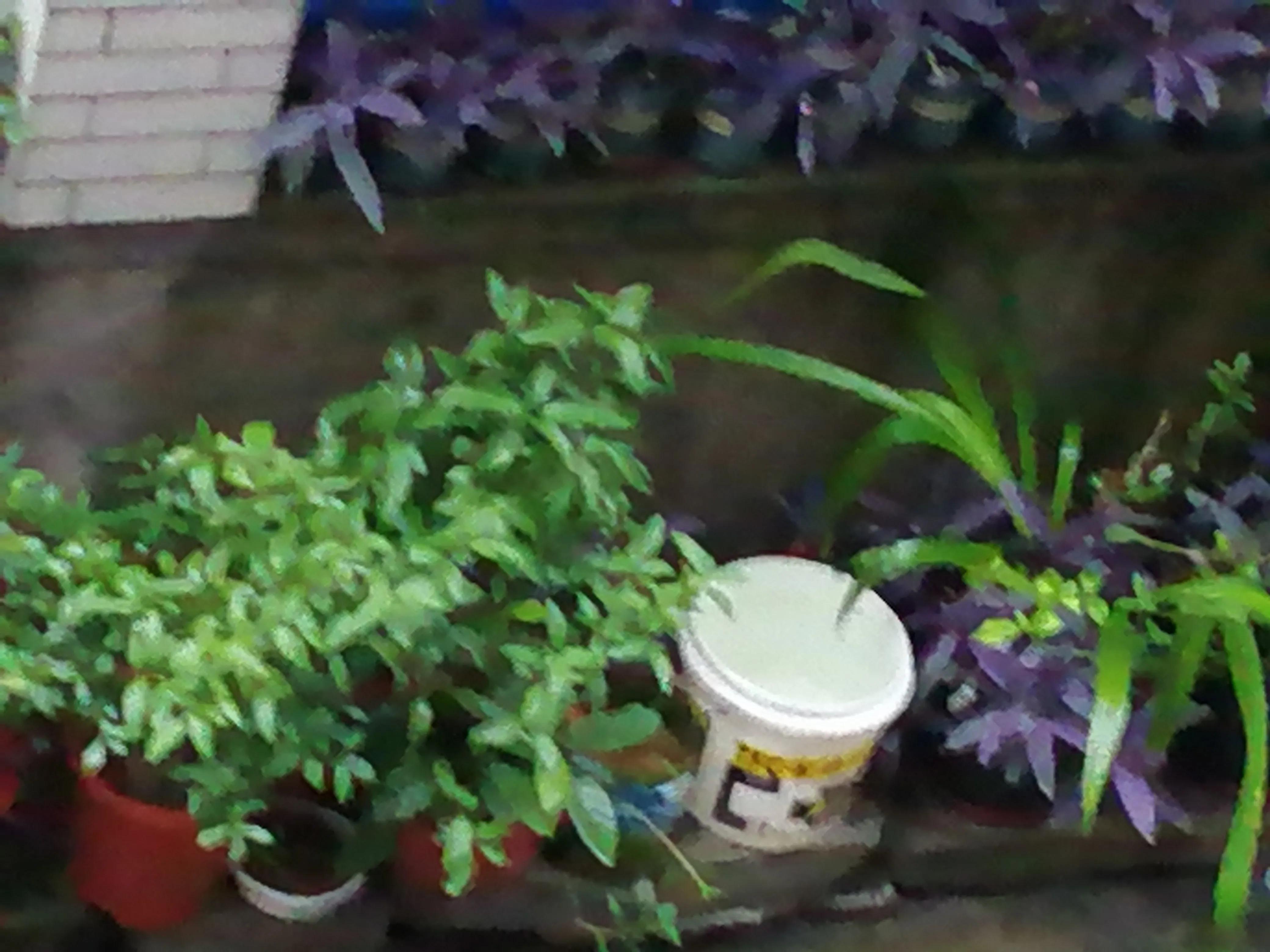 为什么别人打电话过来手机没显示,为什么别人打电话手机没显示号码