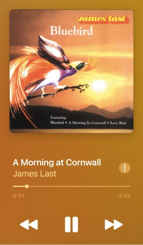 荣耀earbudsx2和earbuds2se,荣耀亲选蓝牙耳机earbuds3i