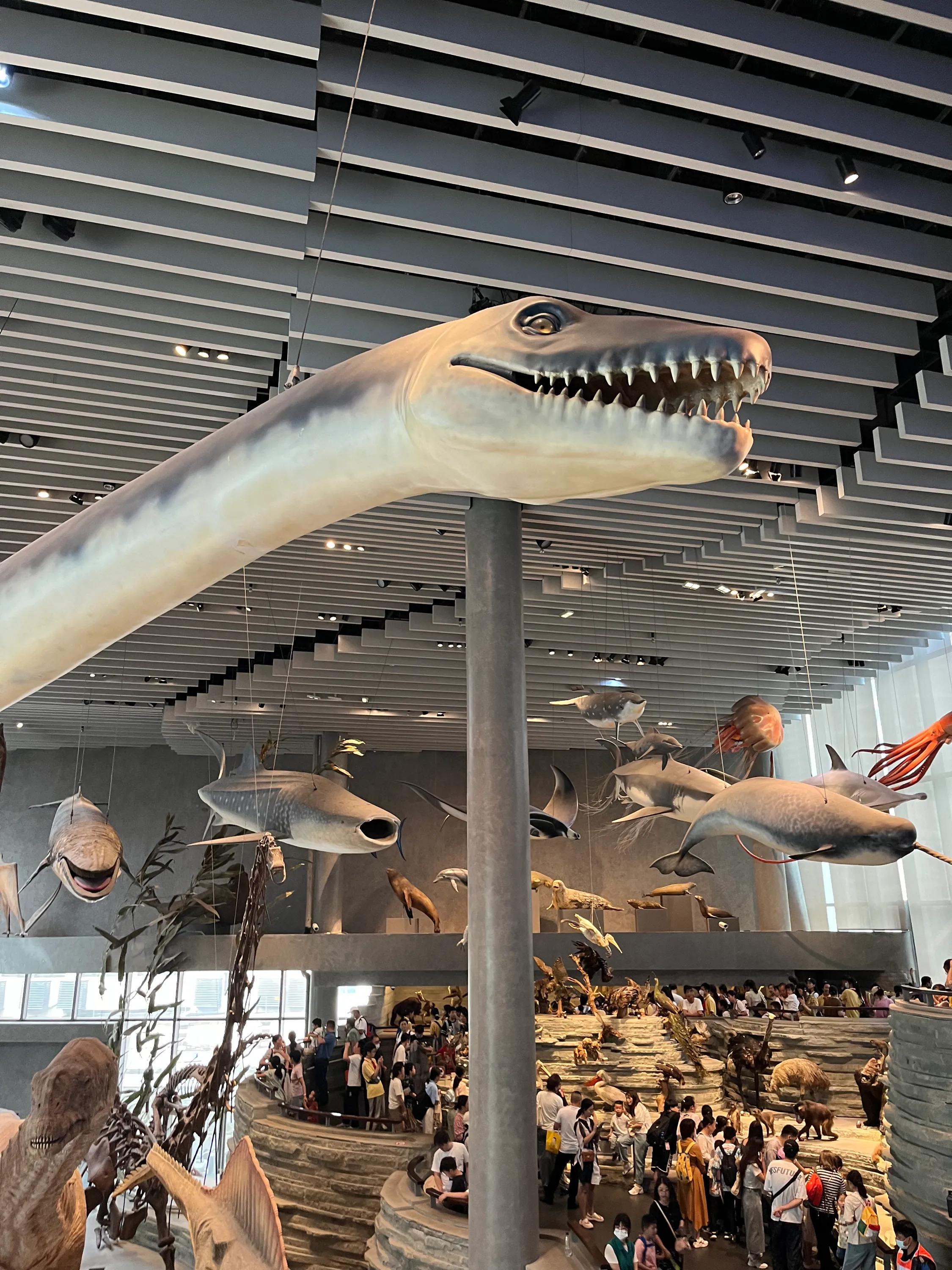 十一上海儿童旅游攻略,上海3天旅游攻略城隍庙