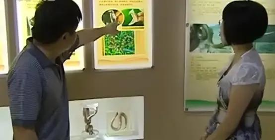 女子靠蛇毒赚50亿,广西女子靠蛇毒身价几十亿