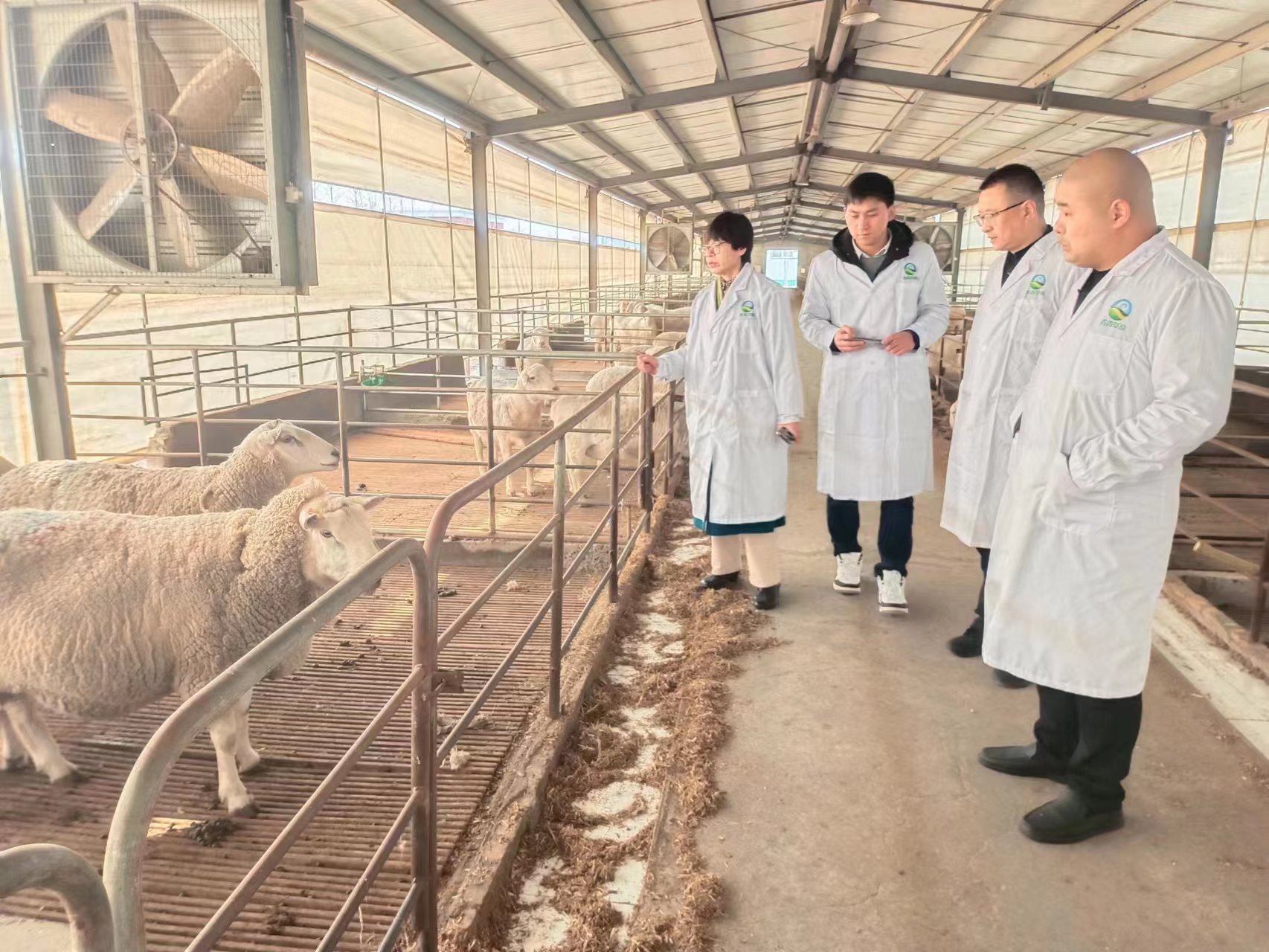 做什么养殖项目最好,大学生养殖创业