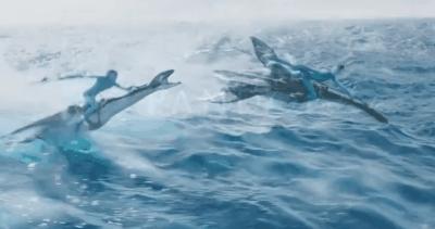 时长超3小时阿凡达2值不值得看 (阿凡达二观看注意事项)